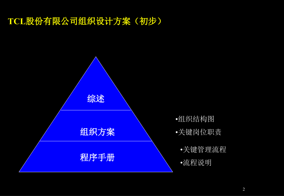 cl股份有限公司管理整合咨询组织设计麦肯锡_第2页