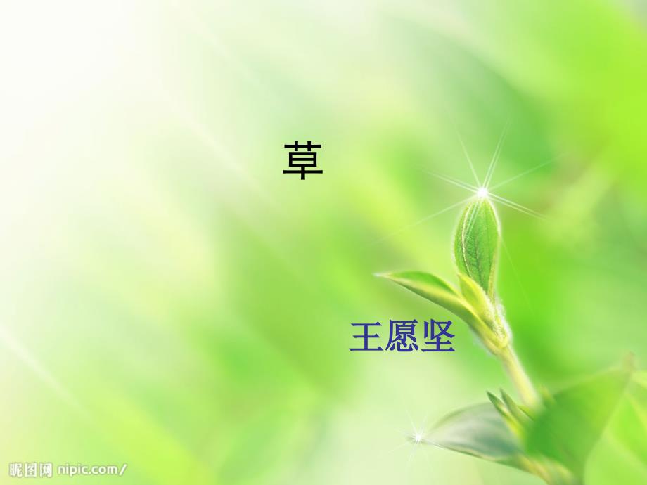 1.4 草 课件 苏教版八下 (5)_第1页