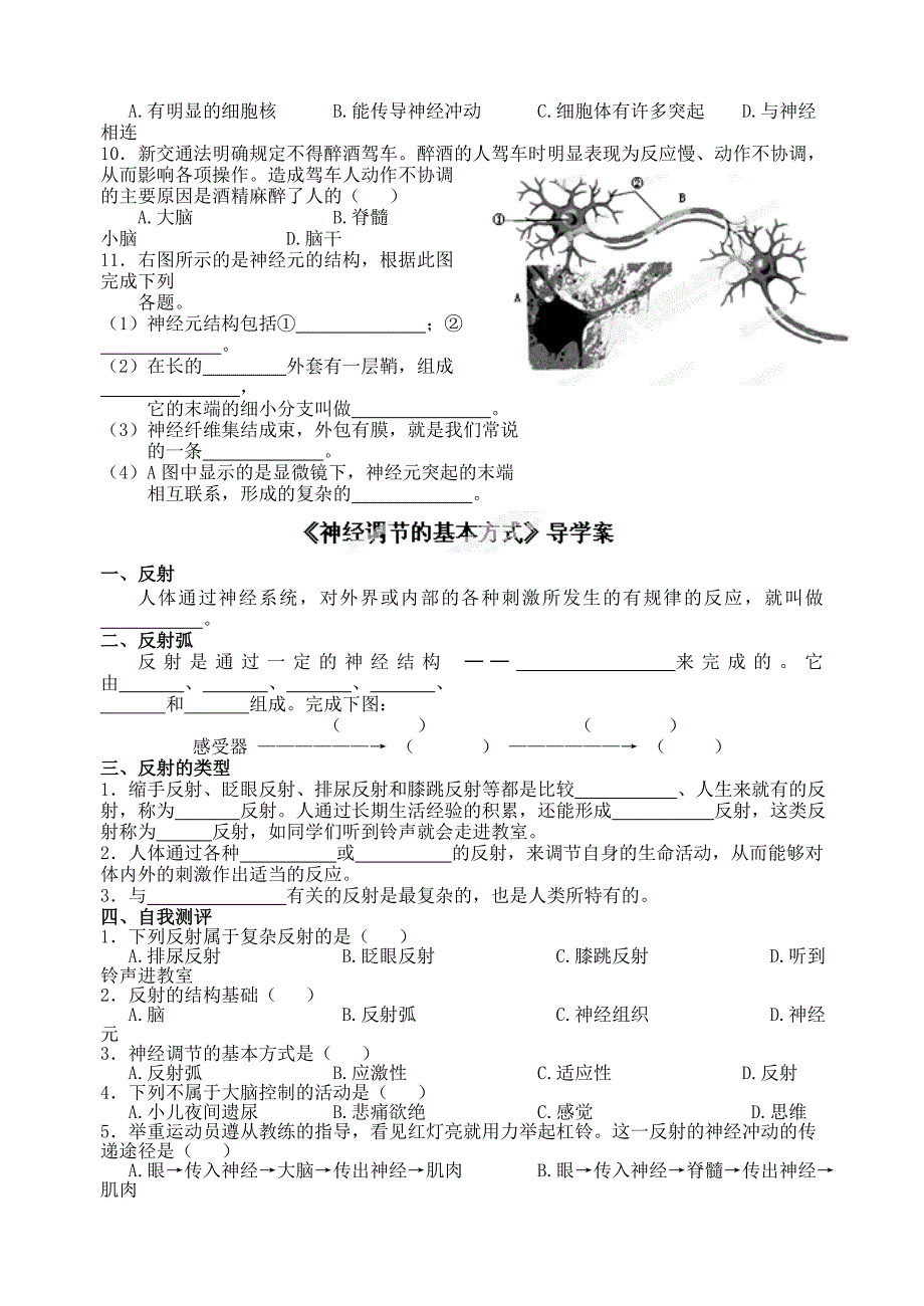 广东省江门市培英初级中学七年级生物下册《神经系统的组成》导学案（无答案） 新人教版.doc_第2页