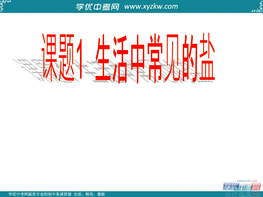 安徽省毫州市风华中学九年级化学《生活中常见的盐》课件.ppt_第1页