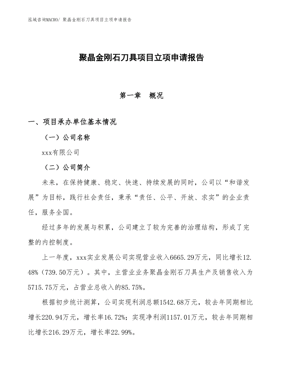 聚晶金刚石刀具项目立项申请报告_第1页