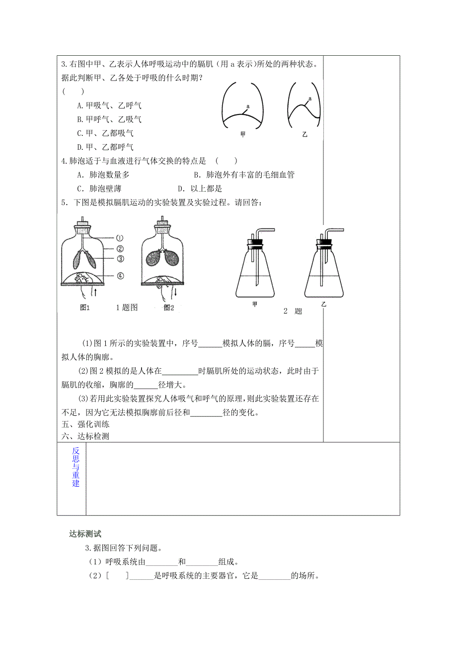 山东省淄博市临淄区第八中学七年级生物下册 第三章 人体的呼吸测试讲评教案 新人教版.doc_第2页