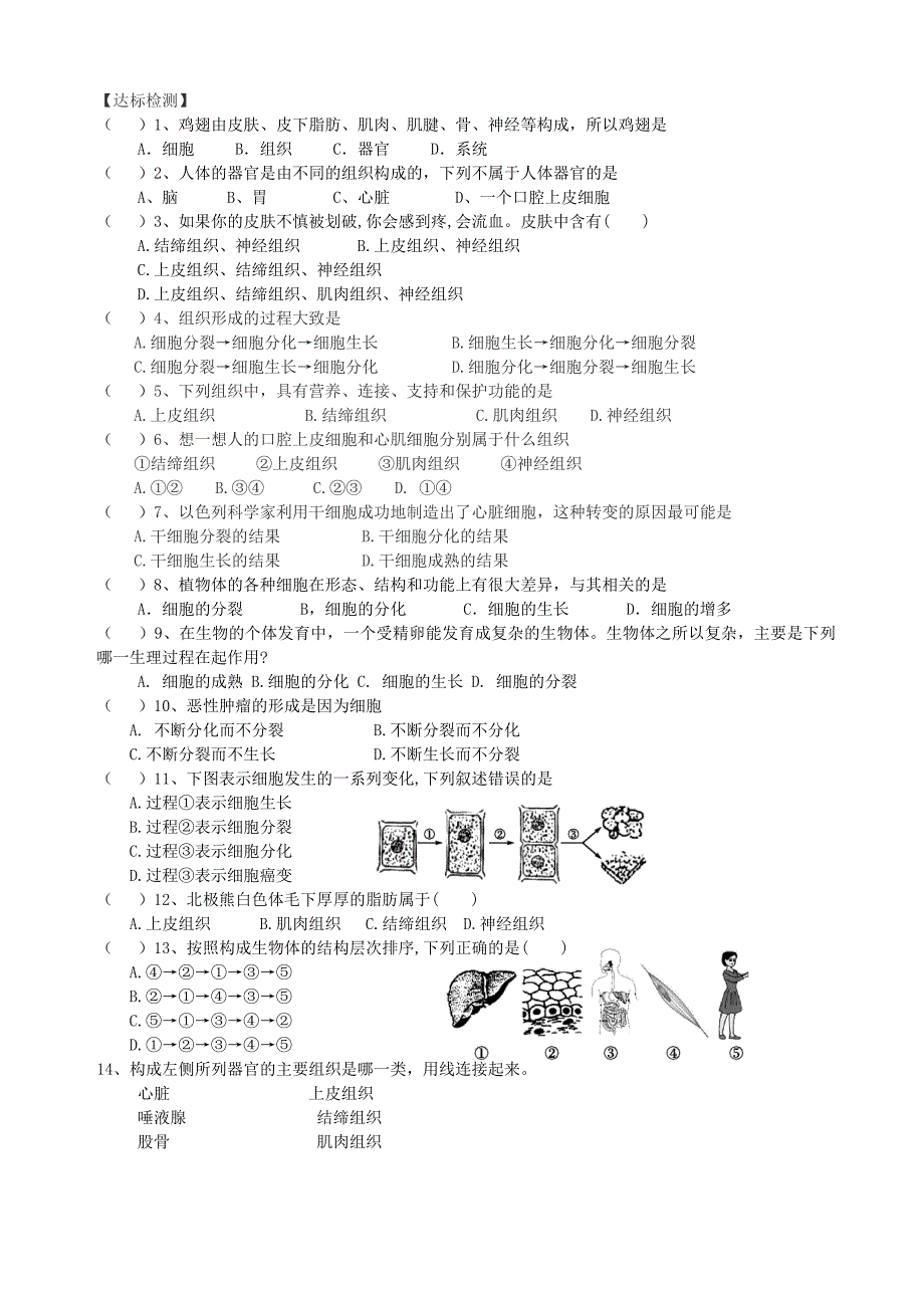 山东省文登市七里汤中学七年级生物上册 动物体的结构层次学案（无答案） 鲁科版.doc_第2页