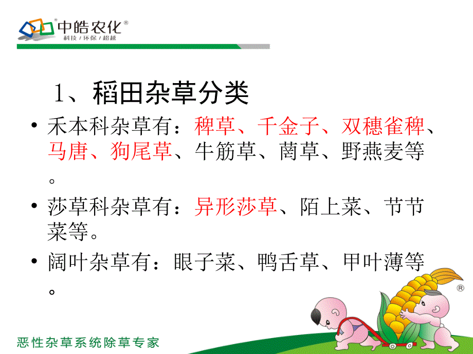 《中皓水稻田除草剂》ppt课件_第4页