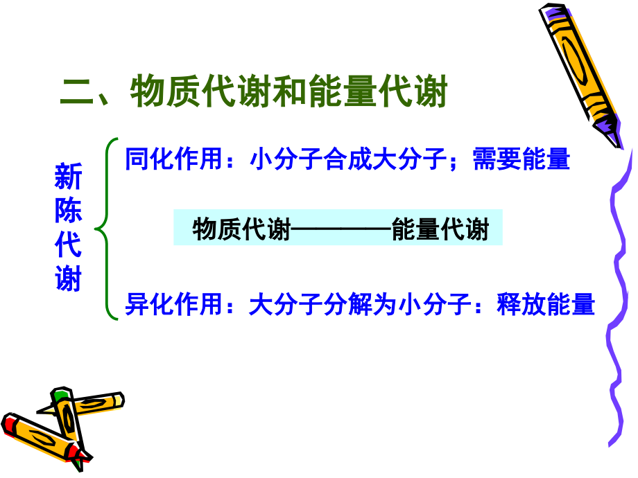 biochemistryb12代谢总论_第3页