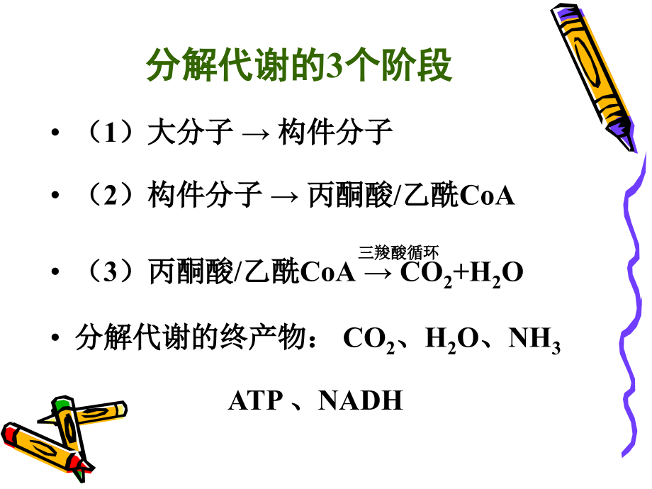 biochemistryb12代谢总论_第4页