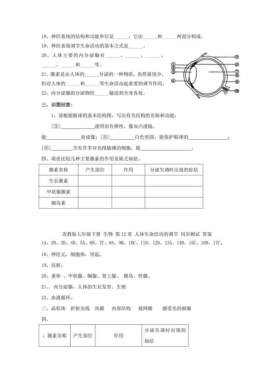 辽宁省辽阳市第九中学苏教版七年级生物下册教案：第十二章 人体生命活动的调节 第三节《人体感知信息》（课时4）.doc_第5页