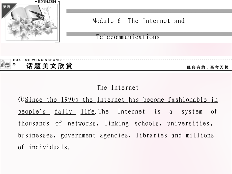 高中英语  Module 6 The Internet and Telecommunications Period One Introduction，Reading and Vocabulary 课件（外研版必修1，课标通用）_第3页