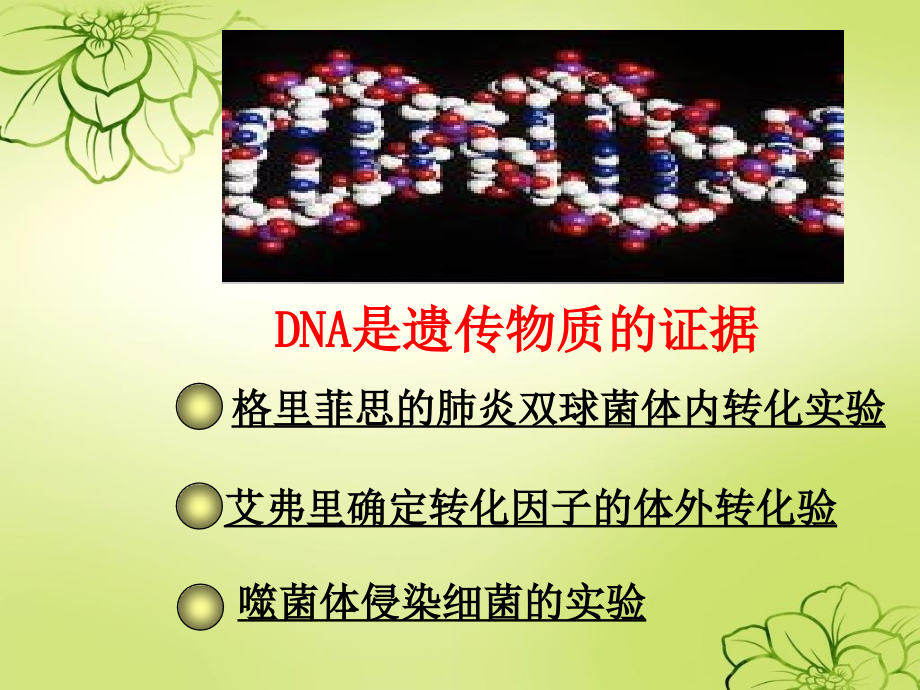 优质教学课件31dna是主要的遗传物质_第4页