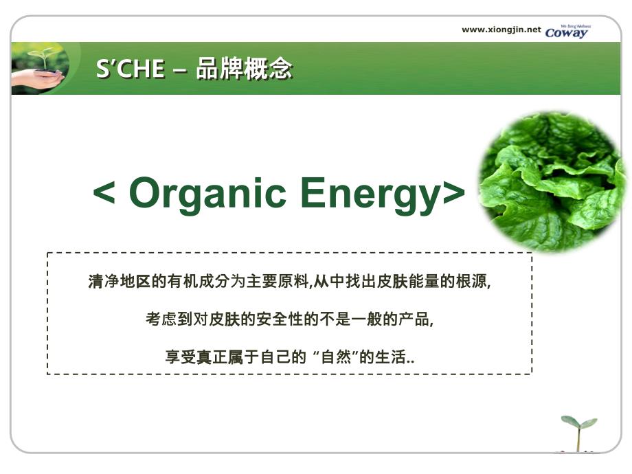 爱诗切概念-招商会用_第4页