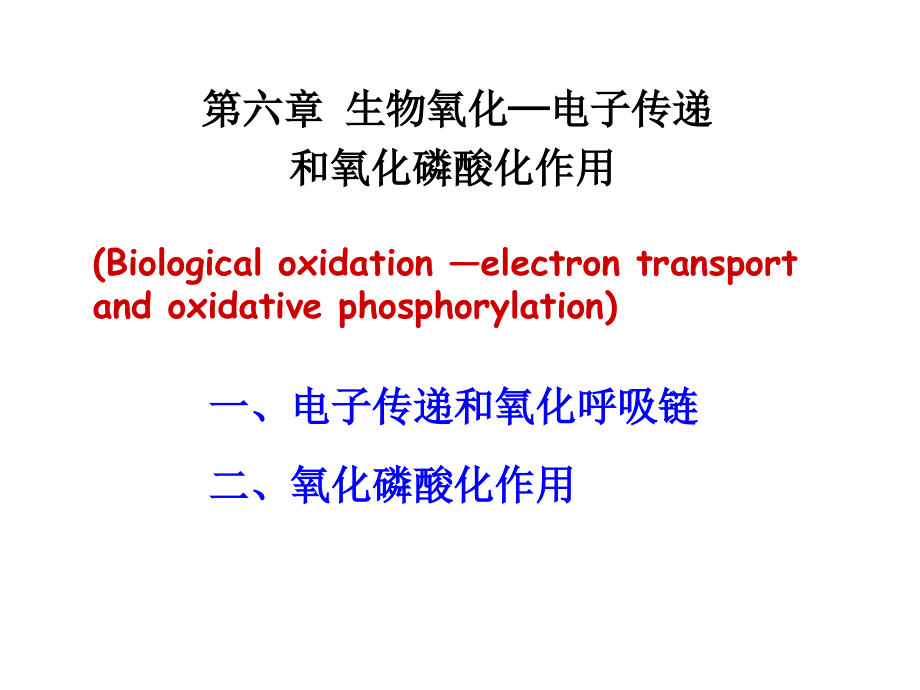 电子传递与氧化磷酸化_第1页