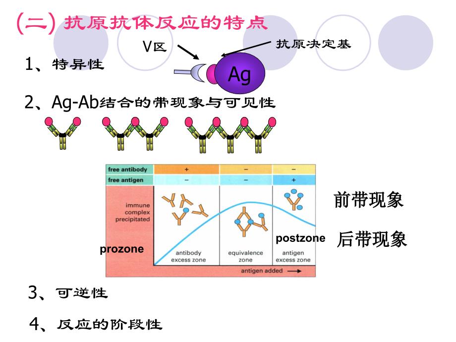 《疫学检测实验》ppt课件_第2页