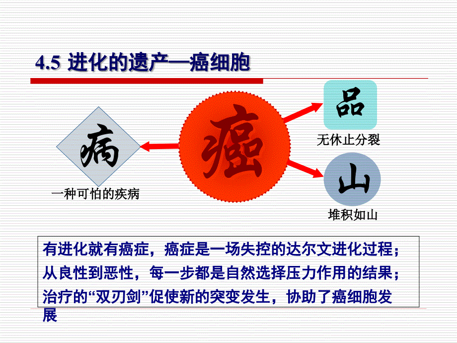 《生命的基石细胞下》ppt课件_第2页