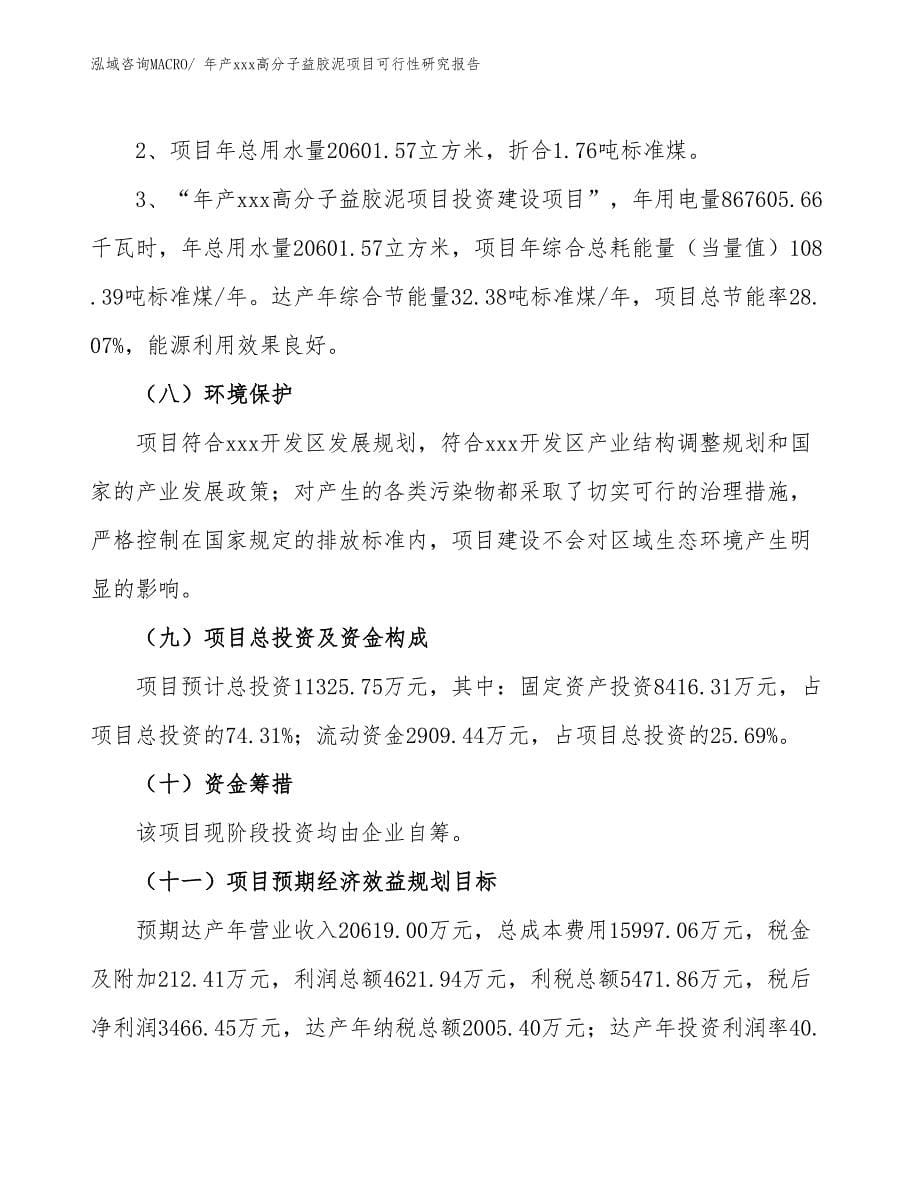 年产xxx高分子益胶泥项目可行性研究报告_第5页