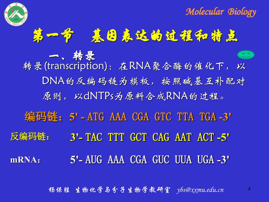 分生-基因表达及调控_第4页