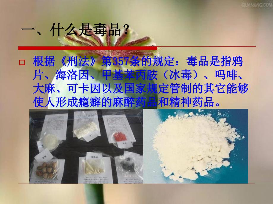 《毒品的宣传和教育》ppt课件_第2页