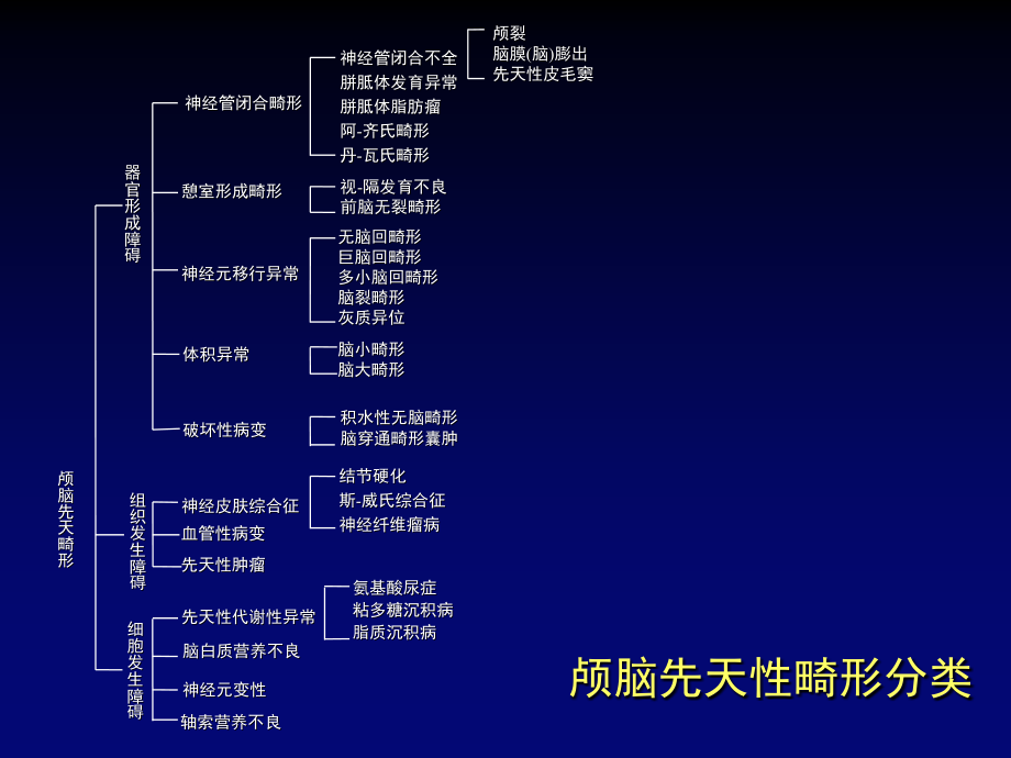 颅脑先天畸形影像系_第3页