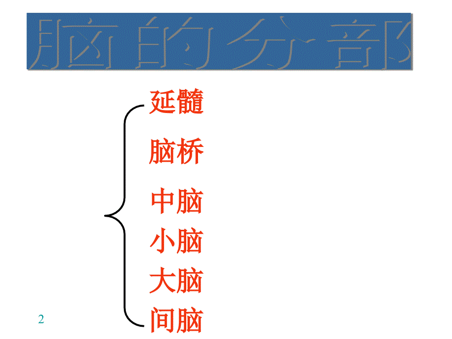 《讲脑与脑干》ppt课件_第2页