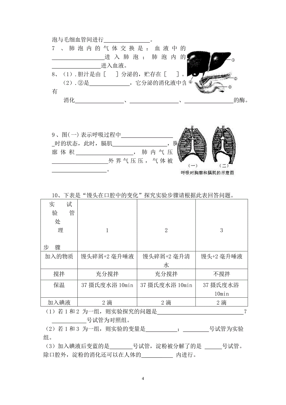 民中七年级生物下册期中试卷_第4页