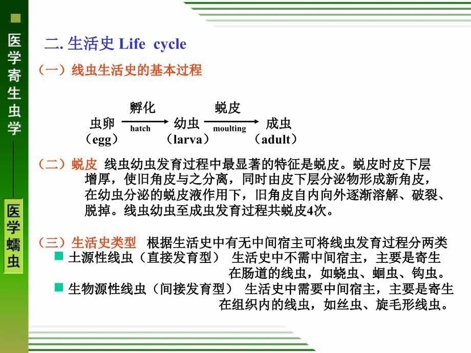 线虫概述、蛔虫、鞭虫、蛲虫_第5页