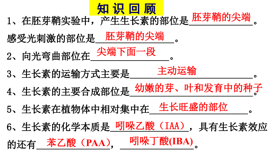 生长素的生理作用自用_第2页