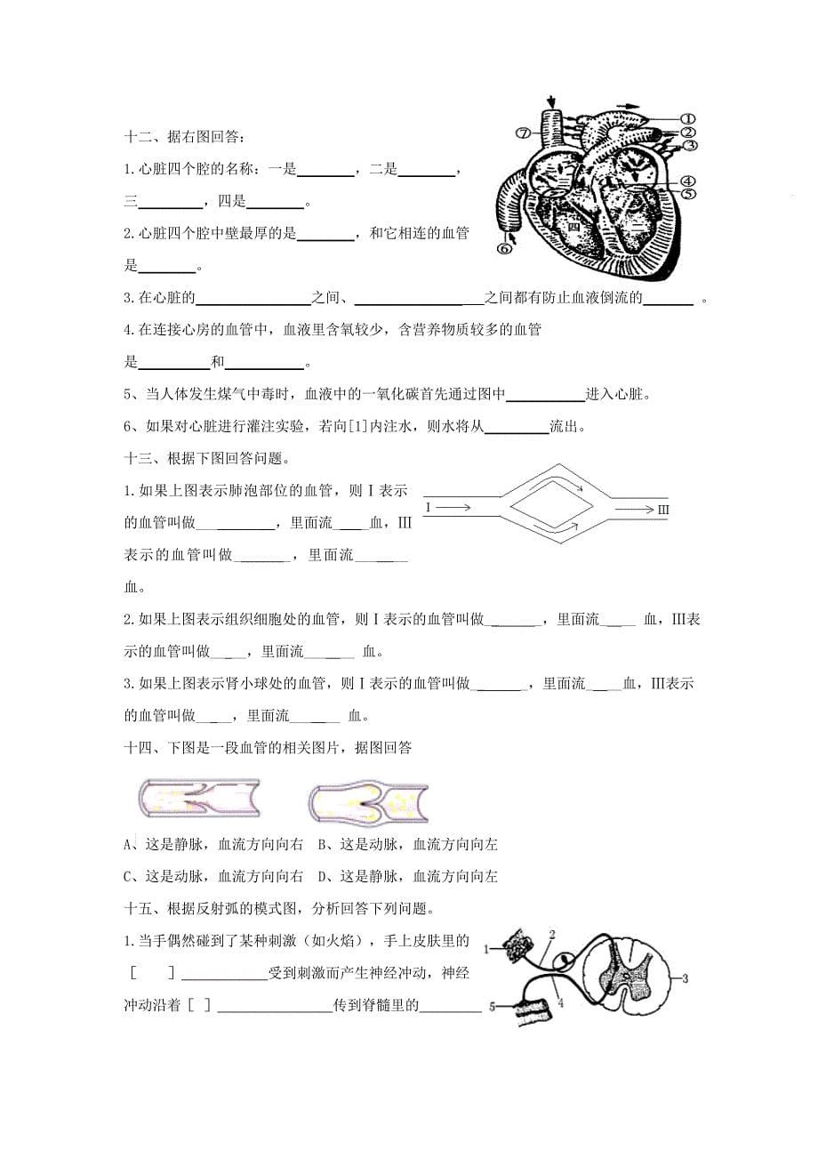 2012初二会考生物复习图专题_第5页