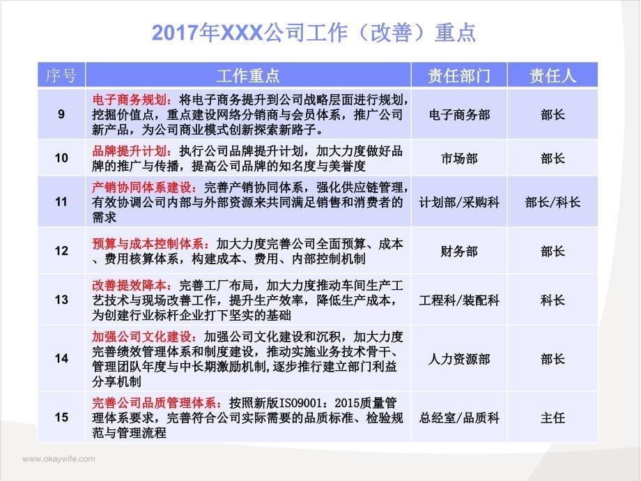 2017年xxx公司经营规划方案_第5页