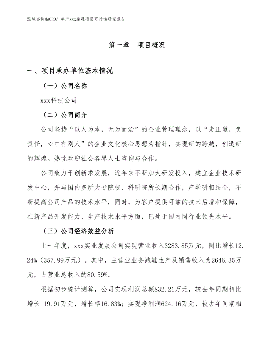 年产xxx跑鞋项目可行性研究报告_第3页