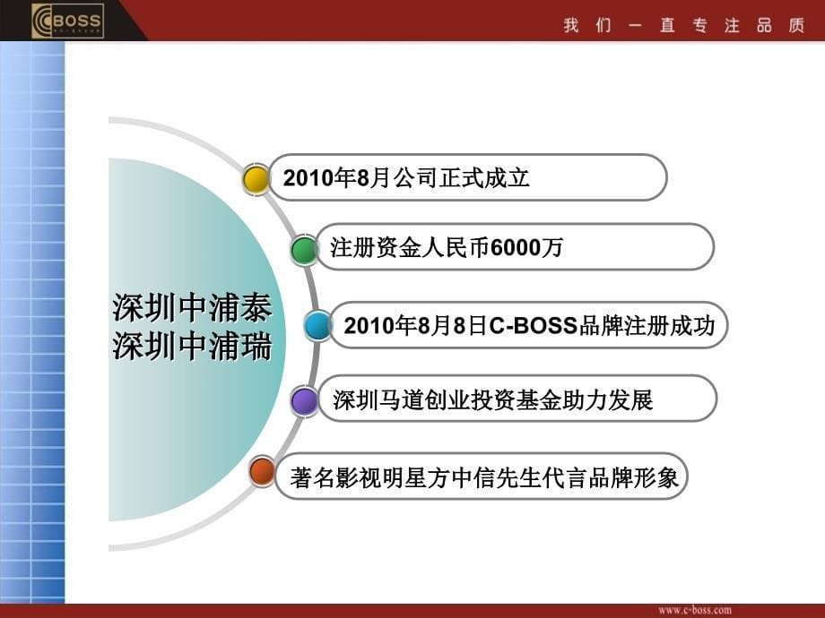 最完美企业介绍模板_第5页