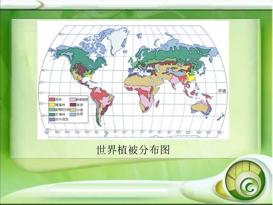 最新最全世界植被分布规律及类型_第3页