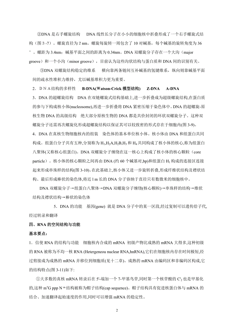 山东大学_分子生物学,期末考试,非基地班剖析_第2页