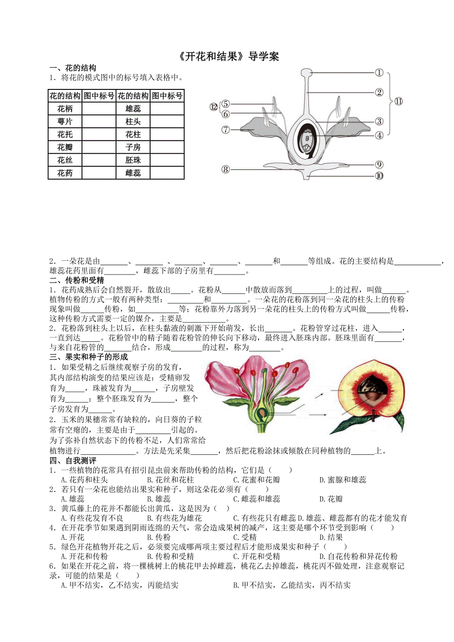 《植株的生长》和《开花和结果》导学案_第2页