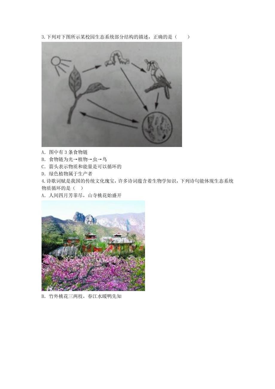 2018-2019学年七年级生物新人教版上册课堂训练：第1单元 第2章 第2节生物与环境组成生态系统（无答案）(3)_第5页