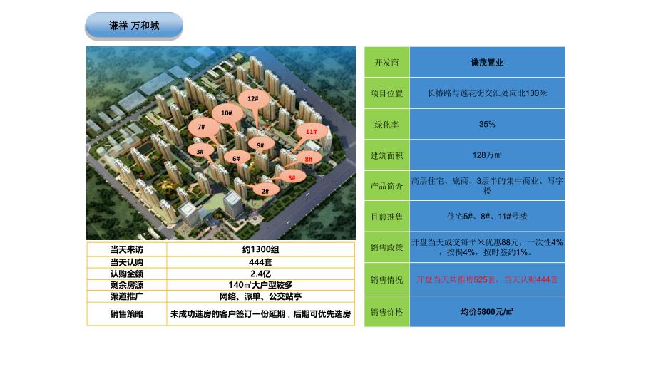 谦祥万和城开盘市调报告_第2页