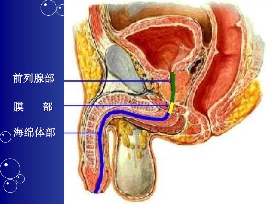 预防留置尿管感染护理措施_第3页