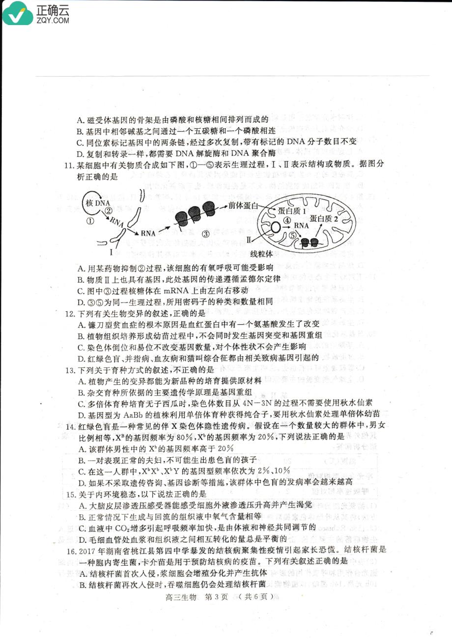 河南省驻马店市2019届高三上学期期末考试生物试卷（pdf版）_第3页