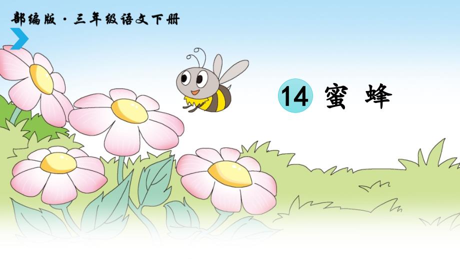 【人教部编版】三年级下语文《14 蜜蜂》优质公开课课件_第3页