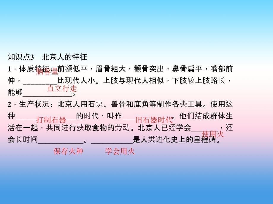 2017-2018学年七年级历史（人教版）上册作业课件：第1课 中国早期人类的代表——北京人_第5页