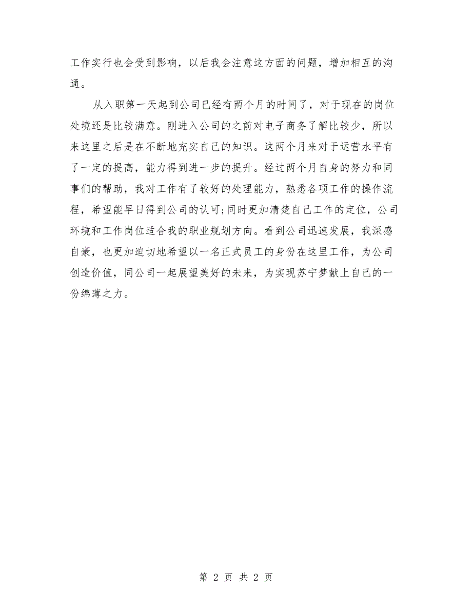 电子商务运营专员试用期工作总结_第2页