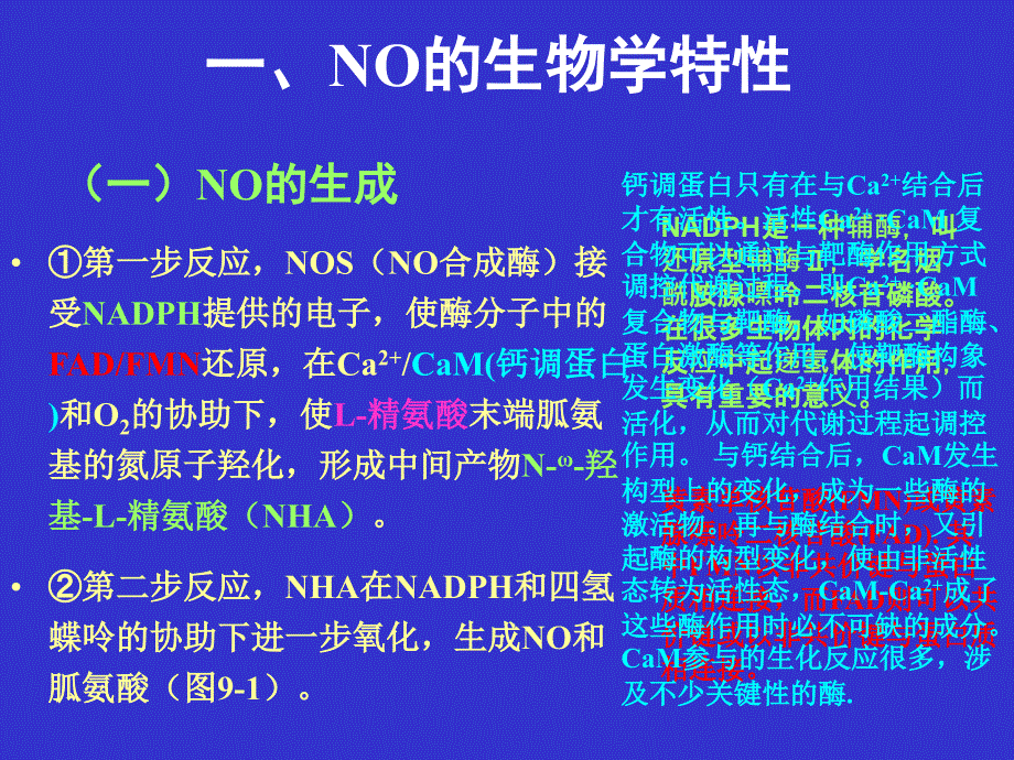 一氧化氮生物系统及其药理作用_第4页