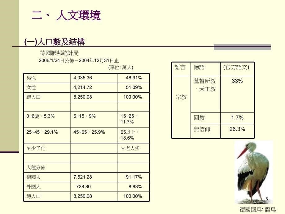 台大国际企业管理报告_第5页