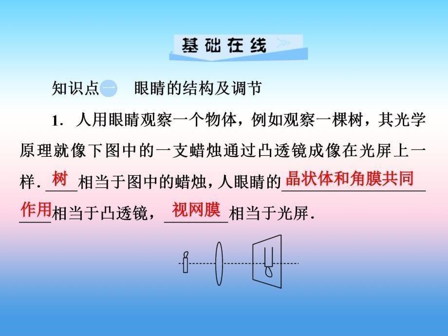 2018-2019学年八年级物理新人教版上册习题课件：第5章第4节眼睛和眼镜_第5页