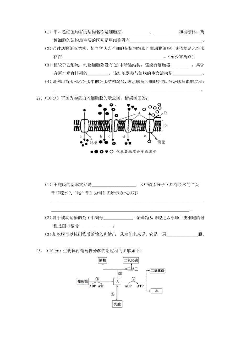 安徽省黄山市2018-2019学年高一上学期期末考试生物试卷_第5页