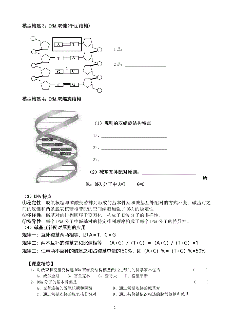 dna分子结构导学案_第2页