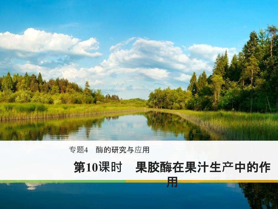 2017-2018学年同步备课套餐之生物人教版选修1课件：专题4　酶的研究与应用 第10课时 _第1页