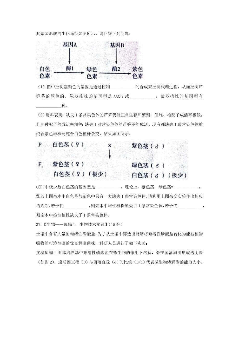 安徽省示范高中皖北协作区2017届高三第19届（3月）联考理综生物试题 word版含答案_第5页