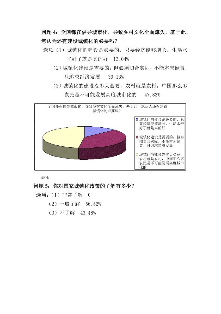 丹东市城镇化发展水平调研报告_第5页