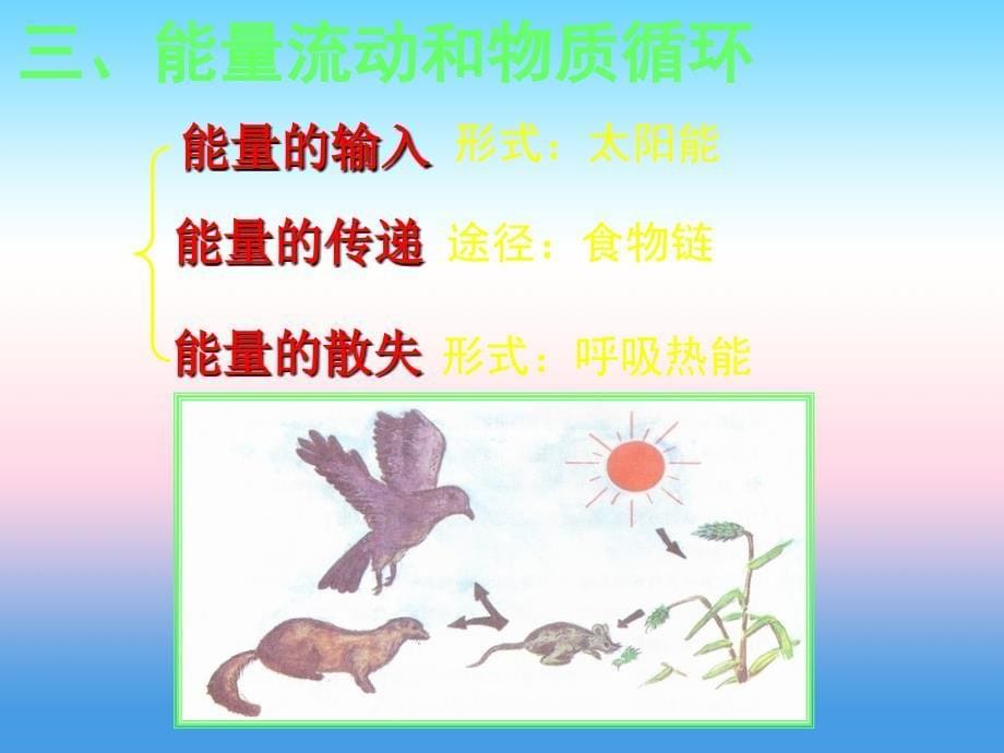 《生态系统》课件1（22张ppt）（华东师大七年级上）_第5页