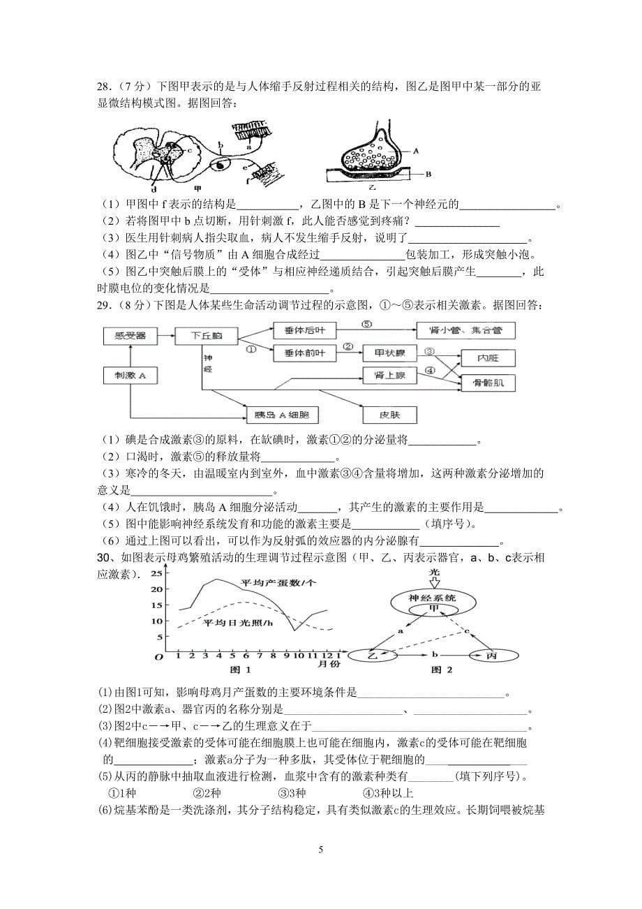 阶段练习七_第5页