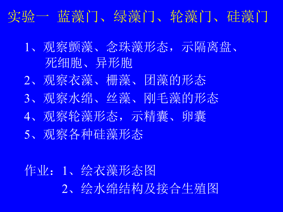蓝藻门(精)_第1页